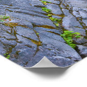 Poster Christine Falls Pittoresque (Coin)