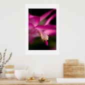 Poster Christmas Cactus (Cuisine)