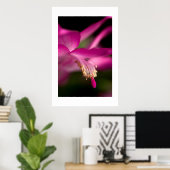 Poster Christmas Cactus (Bureau à domicile)