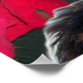 POSTER CHRISTMAS CHAT AVEC SANTA CLAUS CASQUETTE ET POINS (Coin)