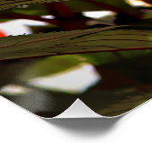 Poster Christmas Flowers (Coin)