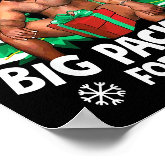 Poster Christmas I Have A Big Package For You Naughty Big (Coin)