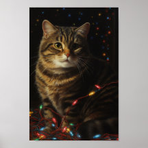 Christmas Kitty