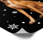 Poster Christmas Lights Reindeer Santa Italian Ghound Xma (Coin)