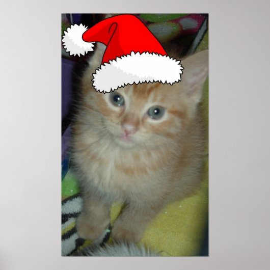 Poster Christmas Orange Tabby Kitten (Devant)