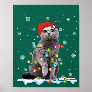 Poster Christmas Père Noël Cat British Shorthair Amoureux