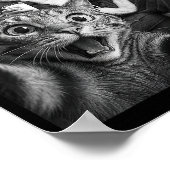 Poster Christmas Santa Claus Merry X-mas Funny Cat Selfie (Coin)