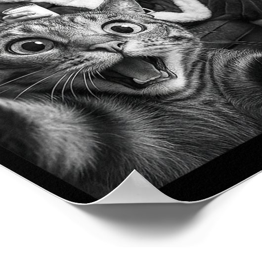 Poster Christmas Santa Claus Merry X-mas Funny Cat Selfie (Coin)