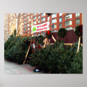 Poster Christmas Tree Stand Upper West Side New York City