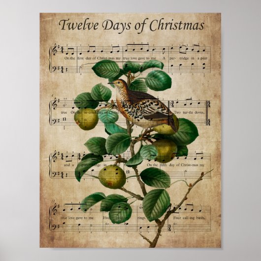 Poster Christmas Wall Art-Partridge in a Pear Tree (Devant)