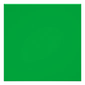 Poster Chroma couleur clé vert (Devant)