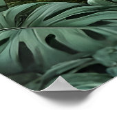 Poster Chromatic Lily Symphony (Coin)