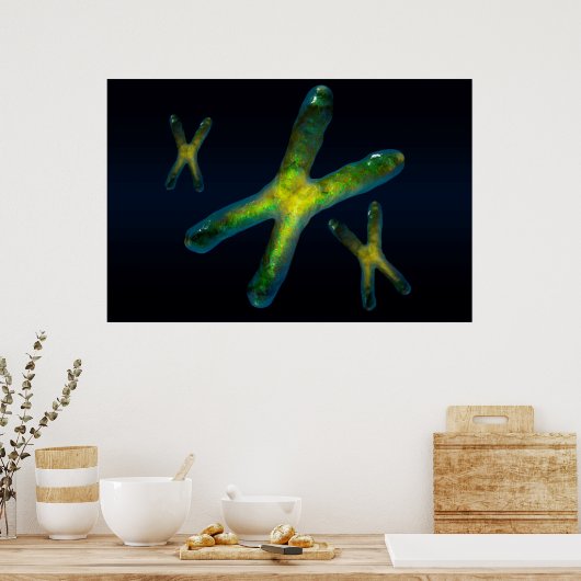 Poster Chromosomes (Cuisine)