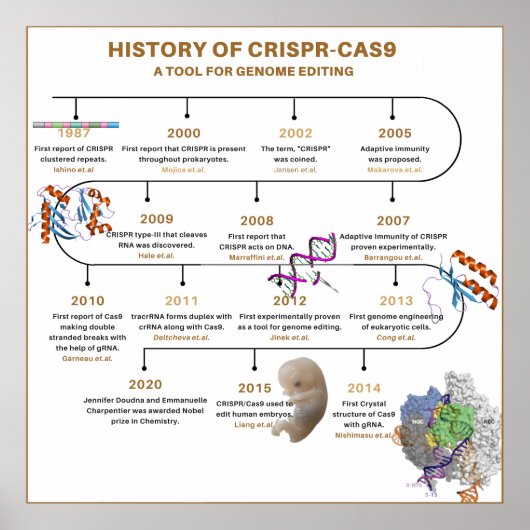 Poster Chronologie de CRISPR (Devant)