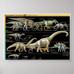 Poster Chronologie des dinosaures Biologie