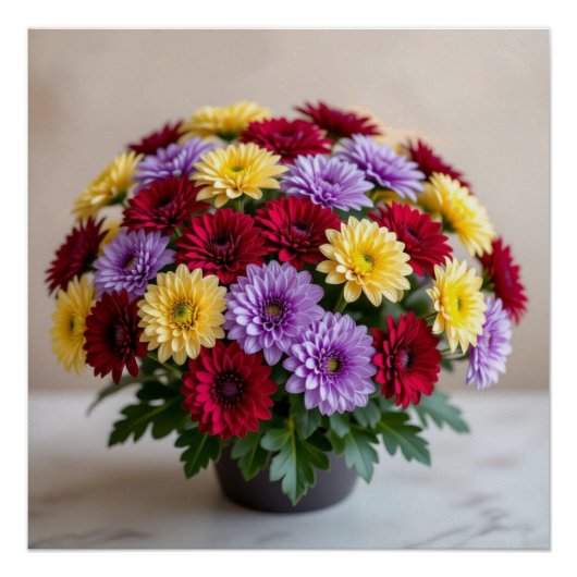 Poster Chrysanthème (Devant)