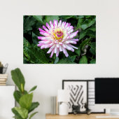 Poster Chrysanthème, Bute Park, Cardiff, Pays de Galles (Bureau à domicile)