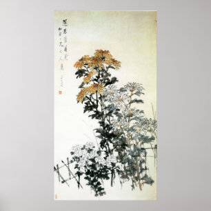 Poster Chrysanthème en floraison