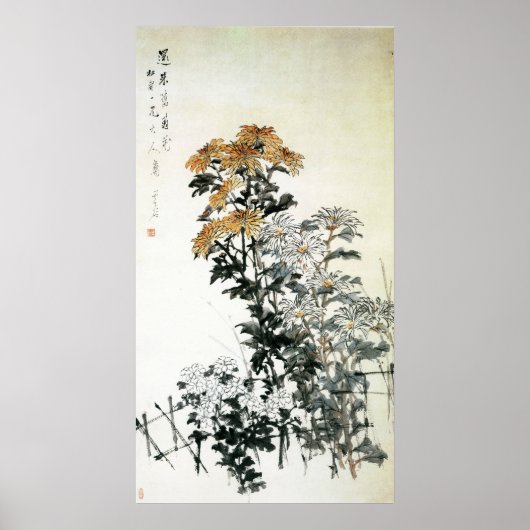 Poster Chrysanthème en floraison (Devant)
