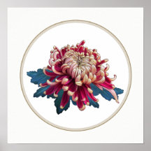 chrysanthème japonais rouge et jaune cercle blanc