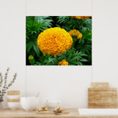 Poster Chrysanthème orange (Cuisine)