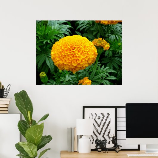 Poster Chrysanthème orange (Bureau à domicile)