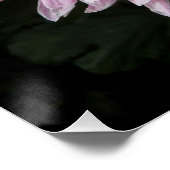Poster Chrysanthème rose fleuri (Coin)