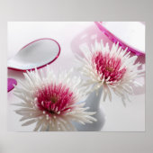 Poster Chrysanthèmes (Devant)