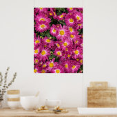 Poster Chrysanthèmes (Cuisine)