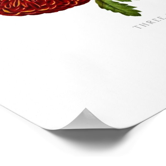 Poster Chrysanthèmes (Coin)