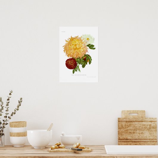 Poster Chrysanthèmes (Cuisine)