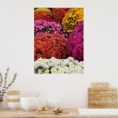 Poster Chrysanthèmes (Cuisine)
