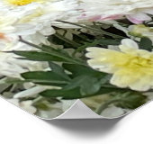 Poster Chrysanthèmes (Coin)