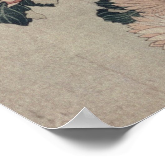 Poster Chrysanthèmes (bloc de bois couleur) (Coin)