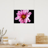 Poster Chrysanthemum Fleur wapcnm (Cuisine)