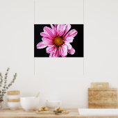 Poster Chrysanthemum Flower wapcn (Cuisine)