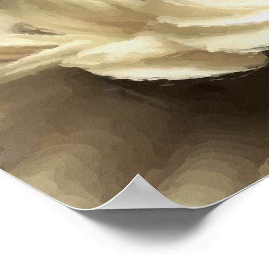 POSTER CHRYSANTHEMUM JAUNE (Coin)