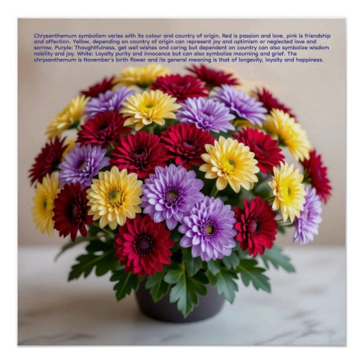Poster Chrysanthemum Symbolism (Devant)