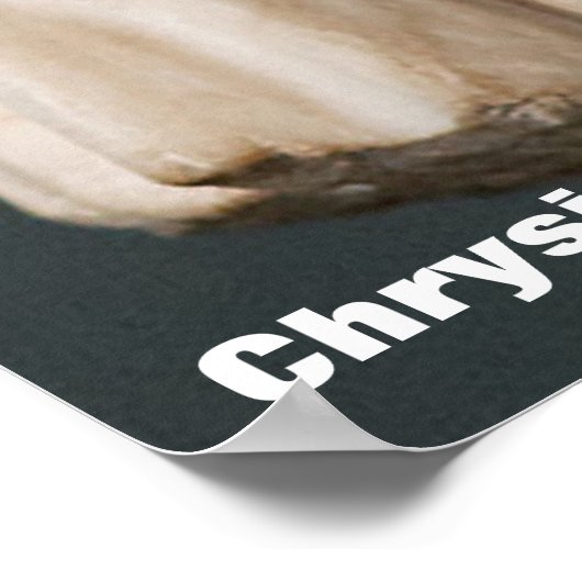 Poster Chrysippus / Philosophe grec (Coin)