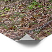 Poster Chrysler PT Cruiser 2004 Limited Edition Car Poste (Coin)