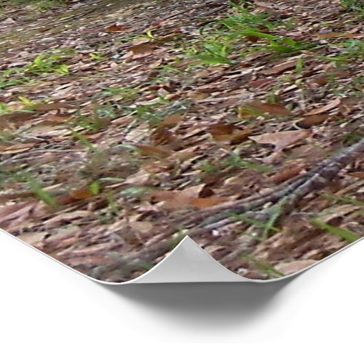 Poster Chrysler PT Cruiser 2004 Limited Edition Car Poste (Coin)