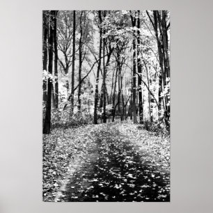 Poster Chuchotement bruyant