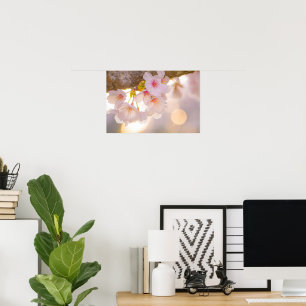 Poster Chuchotements de printemps – Cerisiers en fleurs a