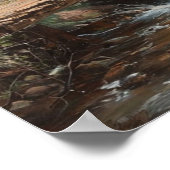 Poster Chuchotements des Bois Dorés : La Croix Usée (Coin)