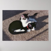 Poster Chuda et Sami (Devant)