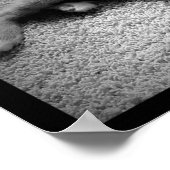 Poster Chugar en Kittenhood (Coin)