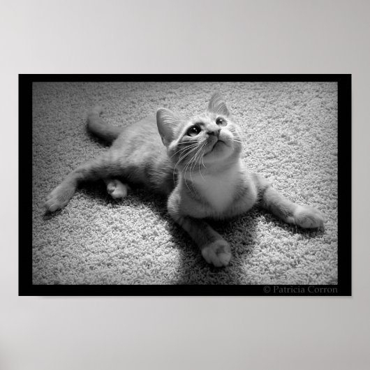 Poster Chugar en Kittenhood (Devant)