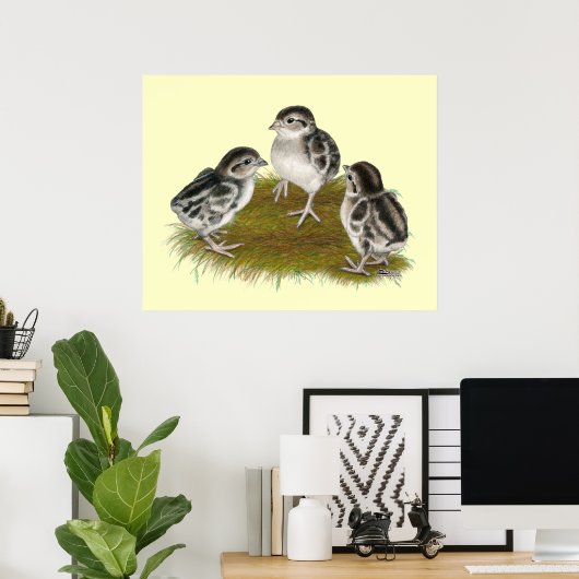 Poster Chukar Partridge Chicks (Bureau à domicile)