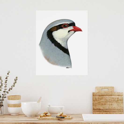 Poster Chukar : tête de perdrix (Cuisine)