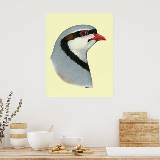 Poster Chukar : tête de perdrix (Cuisine)